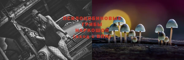 стафф Медвежьегорск