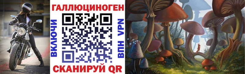 blacksprut ссылка  Малаховка  Псилоцибиновые грибы Magic Shrooms 